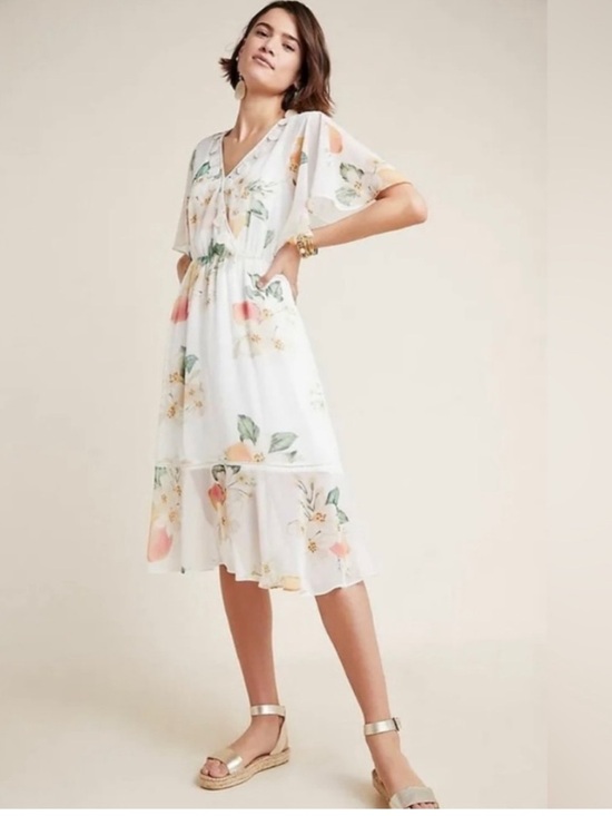 FARM Rio Dresses & Skirts - FARM RIO Anthropologie Eloisa Floral Sheer Maxi Dress NWOT Size: S